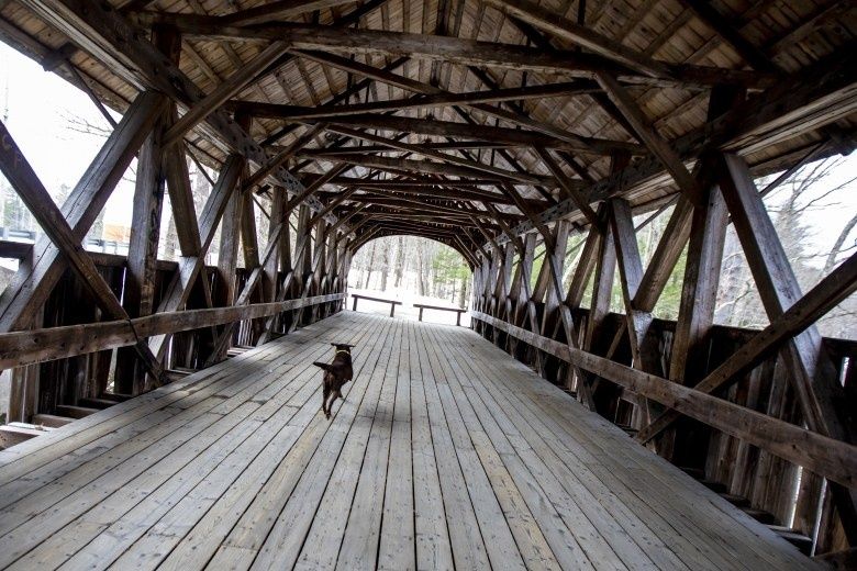 Wooden covered bridge over a wooded landscape, with a dog on its floor