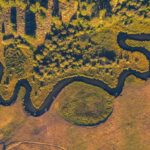Aerial view of a winding stream through a vegetated floodplain