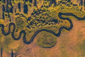 Aerial view of a winding stream through a vegetated floodplain